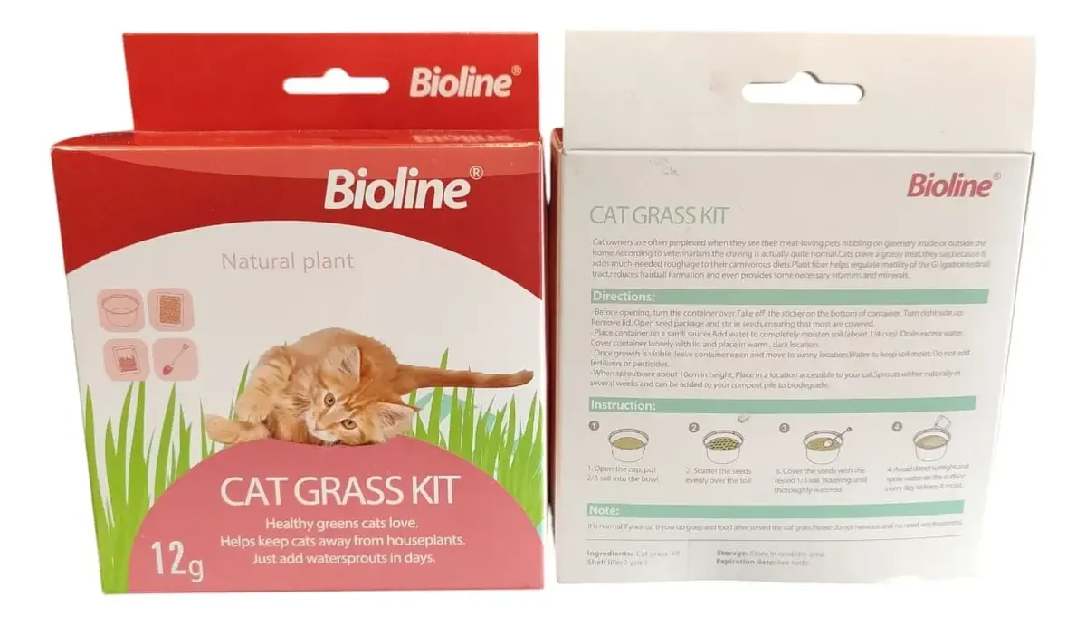 Kit para cultivar hierba gatera fresca en casa.
