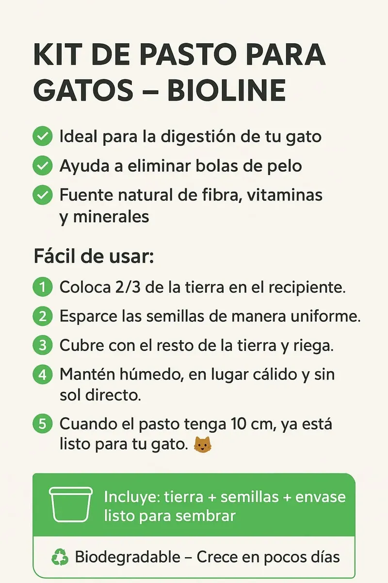 Kit para cultivar hierba gatera fresca en casa.