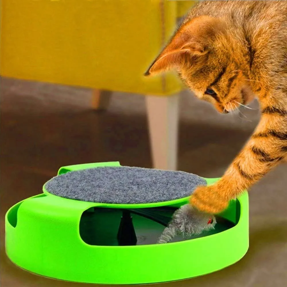 Juguete interactivo para gatos, atrapa ratón.