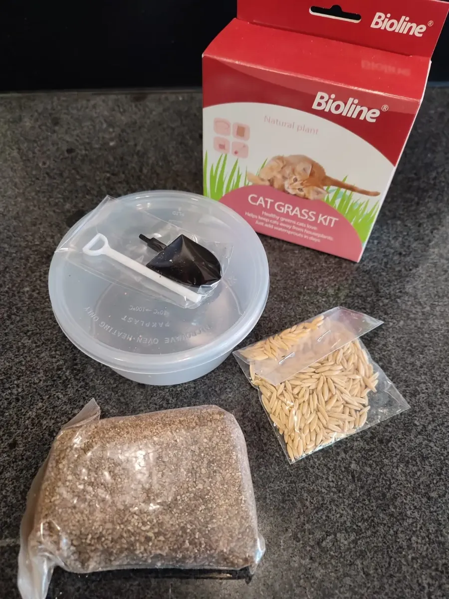 Kit para cultivar hierba gatera fresca en casa.