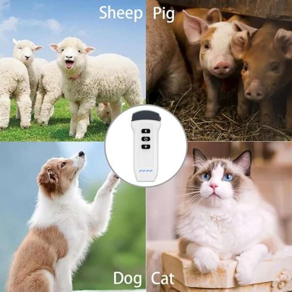 Ecógrafo Doppler color inalámbrico con doble sonda, ideal para diagnóstico veterinario.