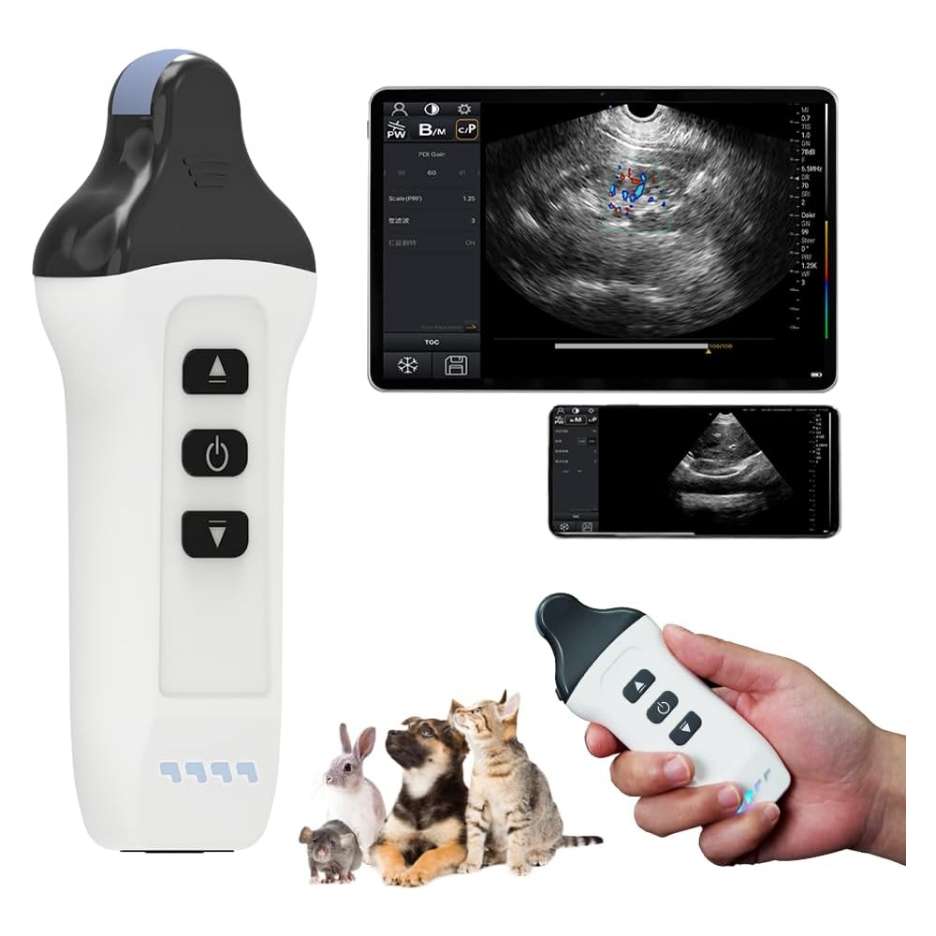 Ecógrafo Doppler color inalámbrico con sonda microconvexa, compatible con iOS y Android.
