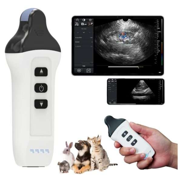 Ecógrafo Doppler color inalámbrico con sonda microconvexa, compatible con iOS y Android.