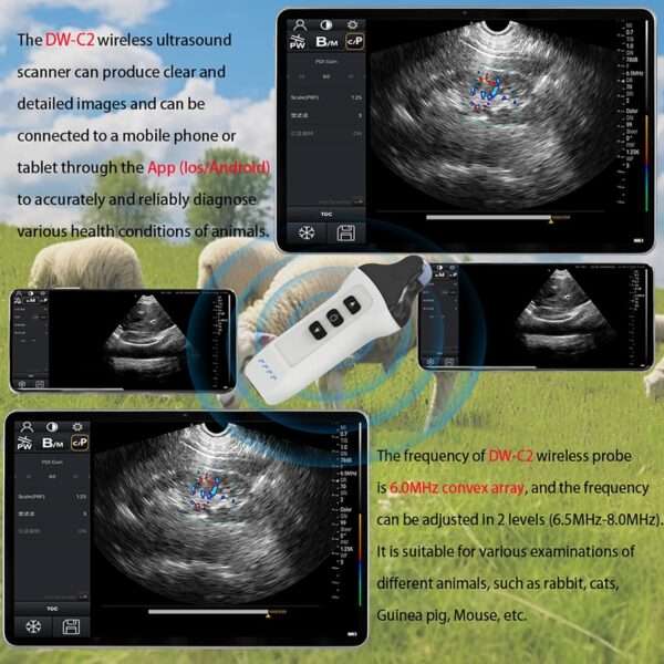 Ecógrafo Doppler color inalámbrico con sonda microconvexa, compatible con iOS y Android.