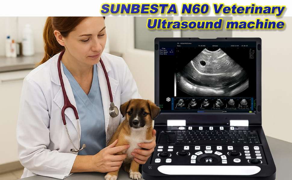 Ecógrafo veterinario N60 basado en PC con pantalla de 15 pulgadas para uso clínico.