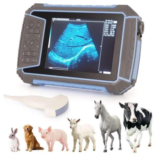 Ecógrafo veterinario portátil 2025 para diagnóstico de gestación en ganado.