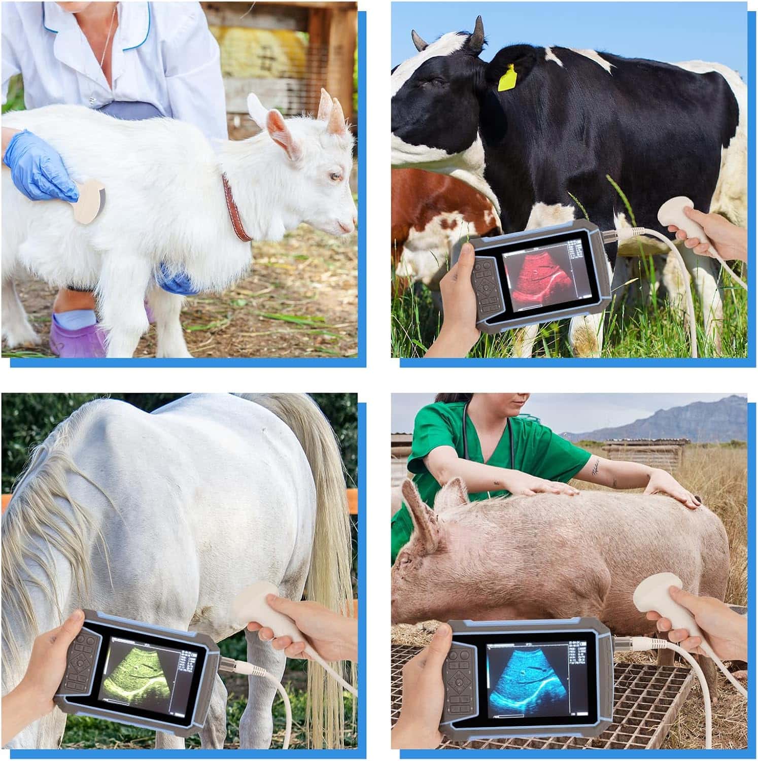 Ecógrafo veterinario portátil 2025 para diagnóstico de gestación en ganado.
