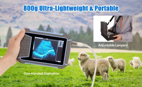 Ecógrafo Veterinario Portátil | Diagnóstico de Gestación para Ganado, Vacas, Caballos y Ovejas - Image 10