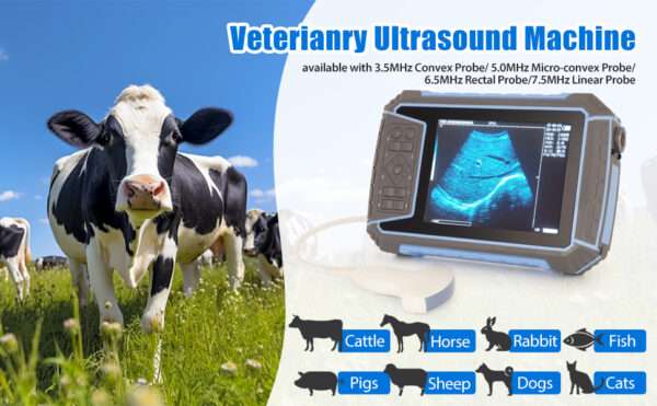 Ecógrafo Veterinario Portátil | Diagnóstico de Gestación para Ganado, Vacas, Caballos y Ovejas - Image 9