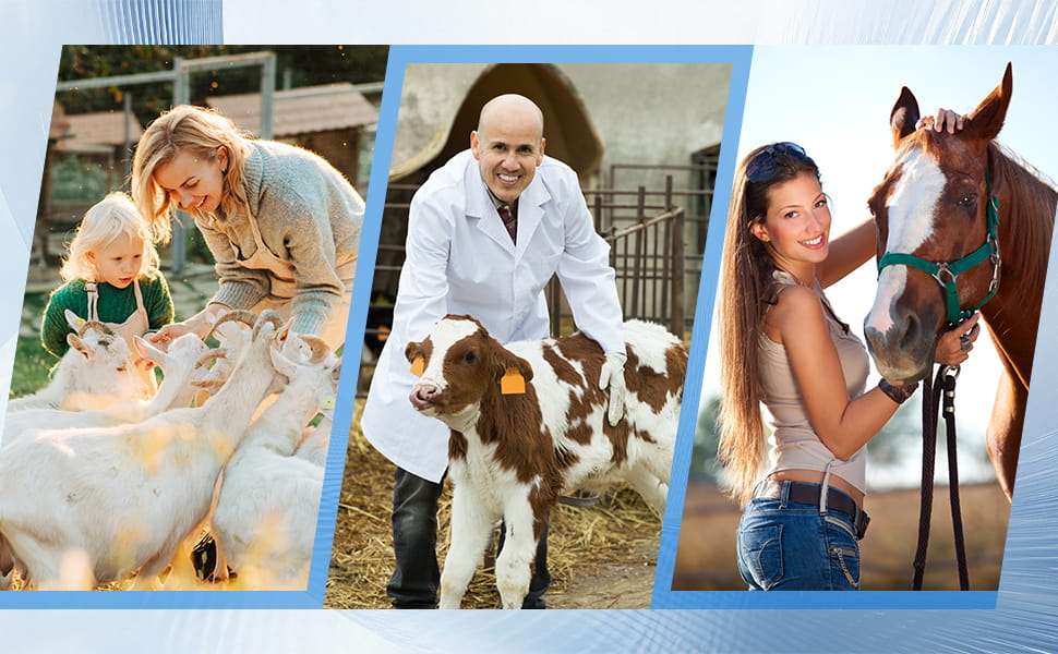 Ecógrafo veterinario portátil 2025 para diagnóstico de gestación en ganado.
