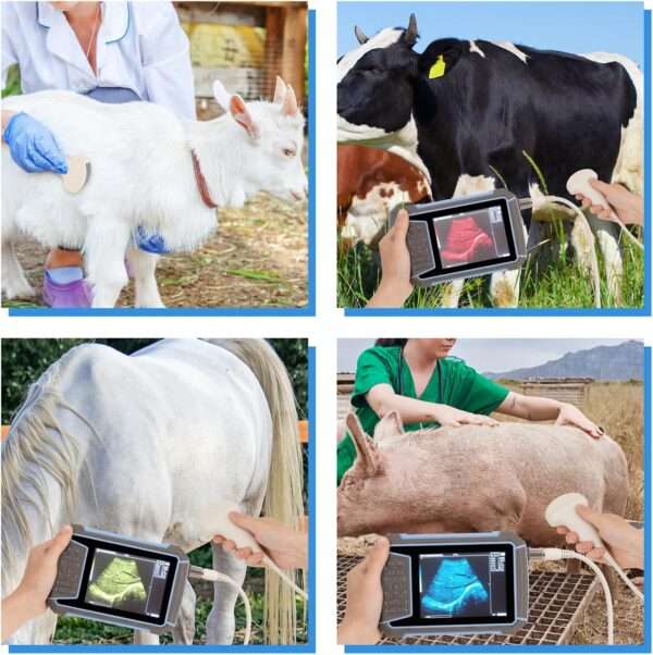 Ecógrafo veterinario portátil 2025 para diagnóstico de gestación en ganado.