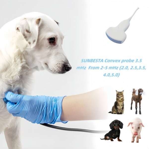Ecógrafo veterinario portátil N50 con pantalla de 15 pulgadas para diagnóstico de gestación.