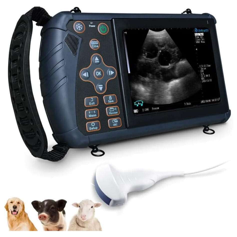 Ecografo veterinario portatil con pantalla LED y sonda convexa para el diagnostico de animales.