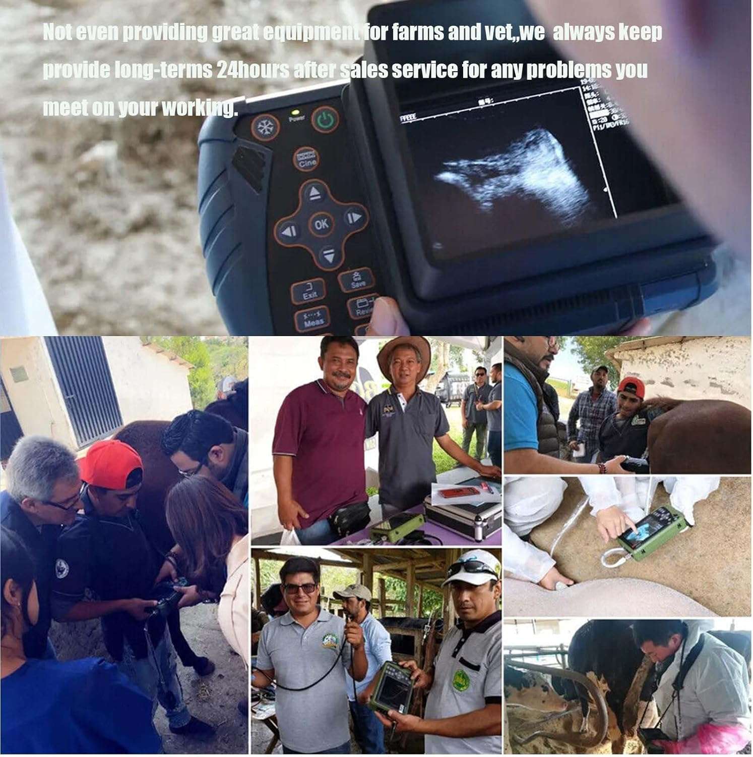 Ecografo veterinario portatil con pantalla LED y sonda convexa para el diagnostico de animales.