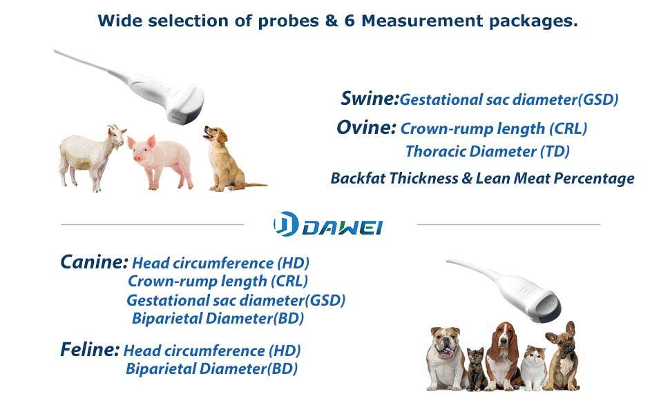 Ecografo veterinario portatil con pantalla LED y sonda convexa para el diagnostico de animales.