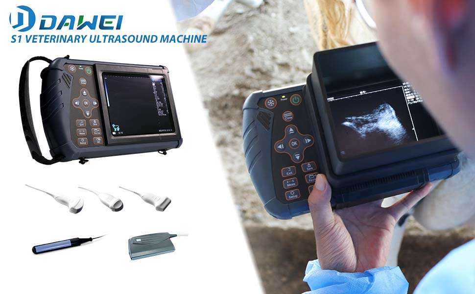 Ecografo veterinario portatil con pantalla LED y sonda convexa para el diagnostico de animales.
