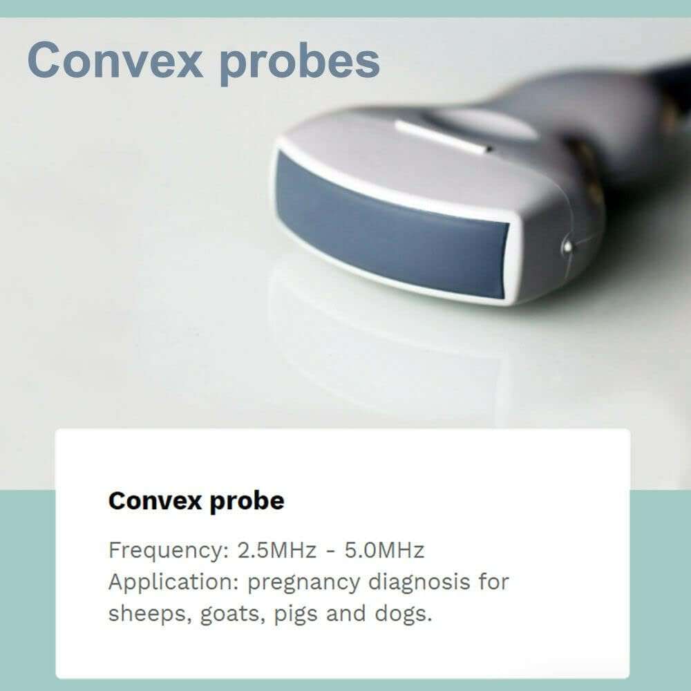 Ecografo veterinario portatil con pantalla LED y sonda convexa para el diagnostico de animales.