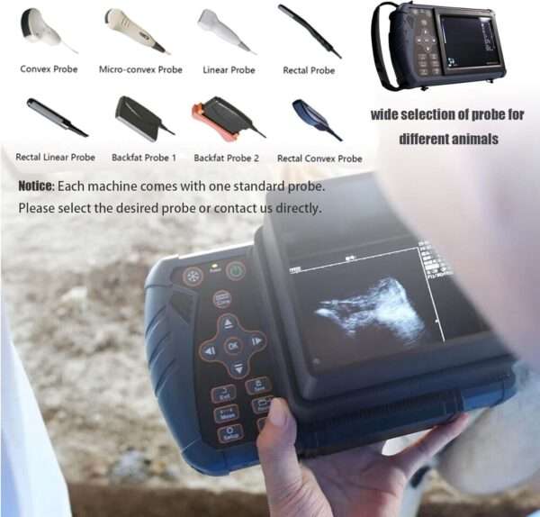 Ecógrafo veterinario portátil S1 con sonda convexa 3.5 MHz para diagnóstico en ganado y caballos.