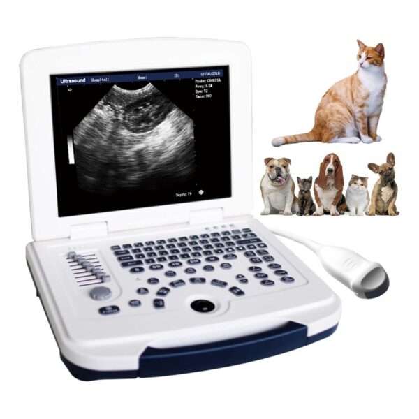 Ecógrafo veterinario portátil con sonda microconvexa 6.5 MHz para diagnóstico en animales pequeños.