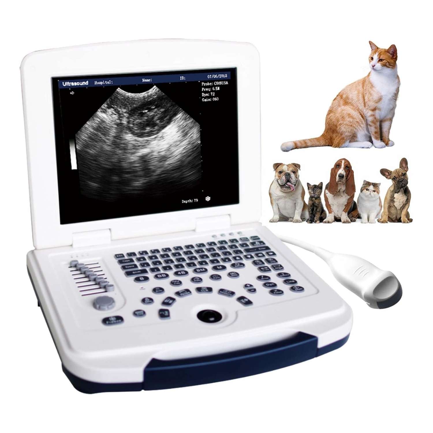 Ecógrafo veterinario portátil con sonda microconvexa 6.5 MHz para diagnóstico en animales pequeños.