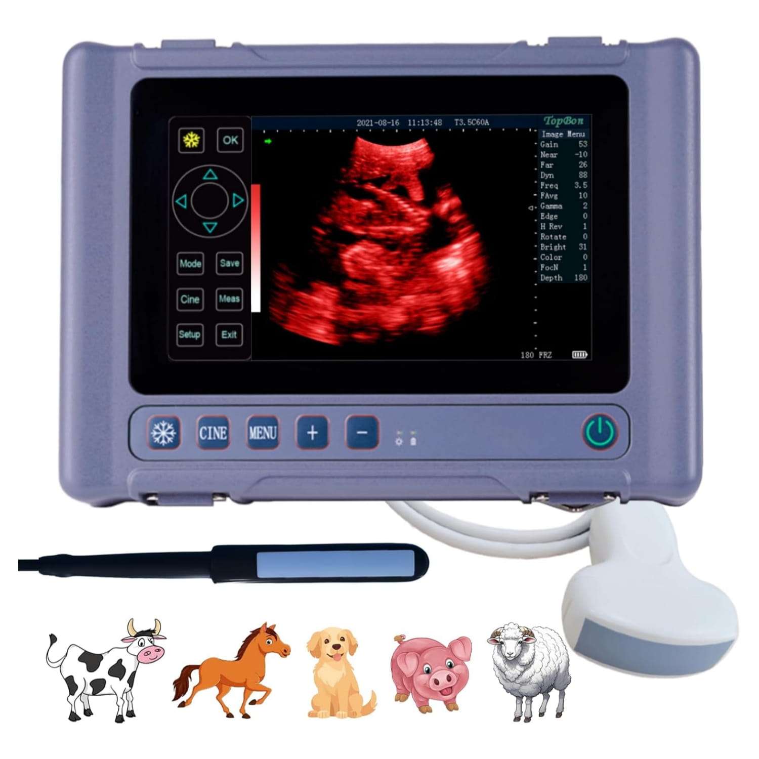 Ecógrafo veterinario portátil T1 con pantalla táctil y sondas dobles.Ecógrafo veterinario portátil T1 con pantalla táctil y sondas dobles.