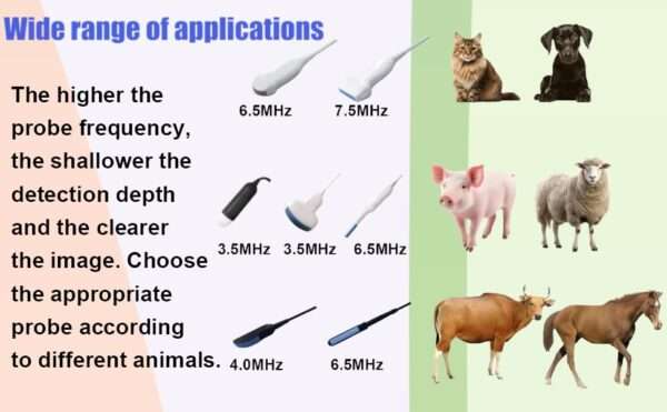 Ecógrafo veterinario portátil T1 con pantalla táctil y sondas dobles.