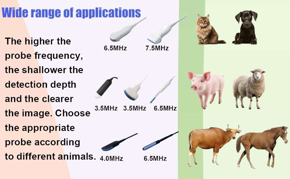 Ecógrafo veterinario portátil T1 con pantalla táctil y sondas dobles.