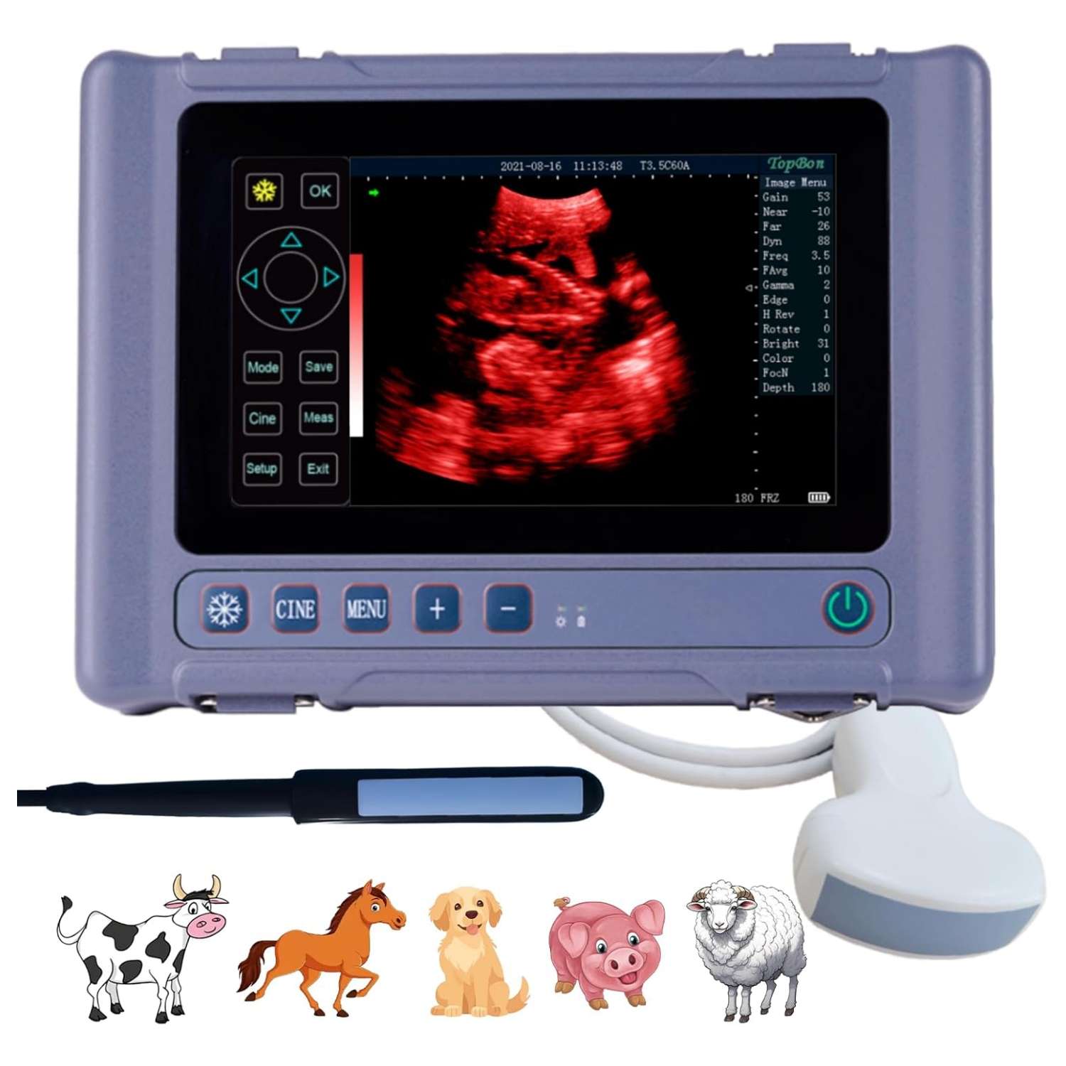 Ecógrafo veterinario portátil T1 con pantalla táctil y sondas dobles.