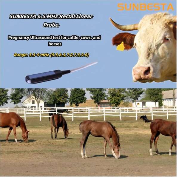 Ecógrafo veterinario portátil N50 para diagnóstico de gestación, con sonda lineal.