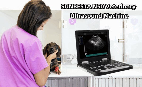 Ecógrafo veterinario portátil N50 para diagnóstico de gestación, con sonda lineal.