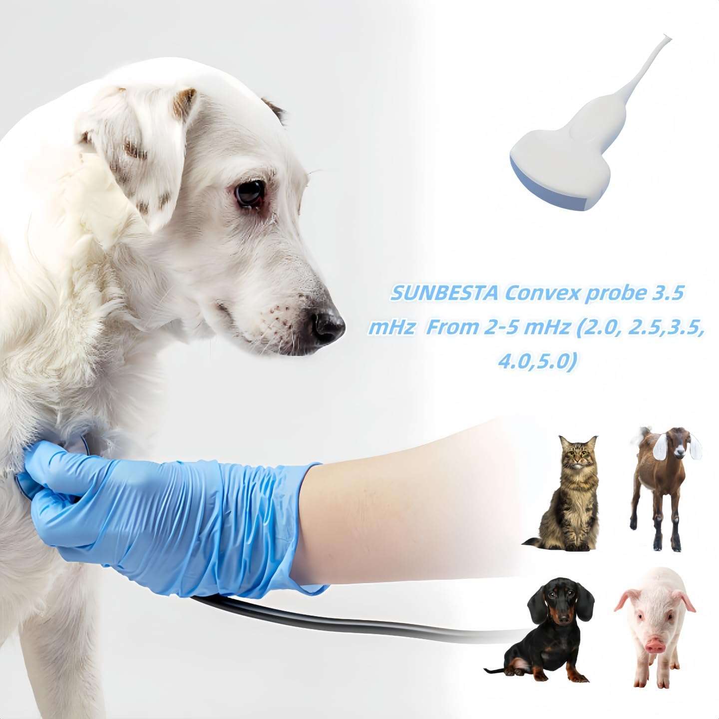 ecografo veterinario portatil de 38.1 centimetros con sonda lineal y convexa para diagnostico de ganado y mascotas ideal para chile