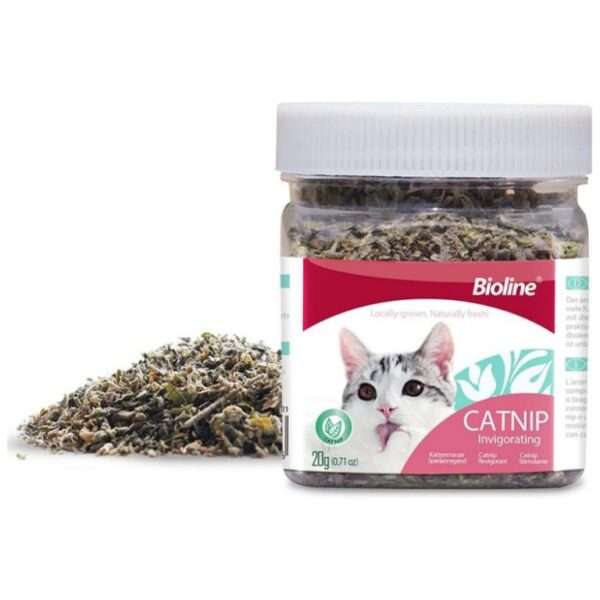 Hierba gatera Catnip para gatos.