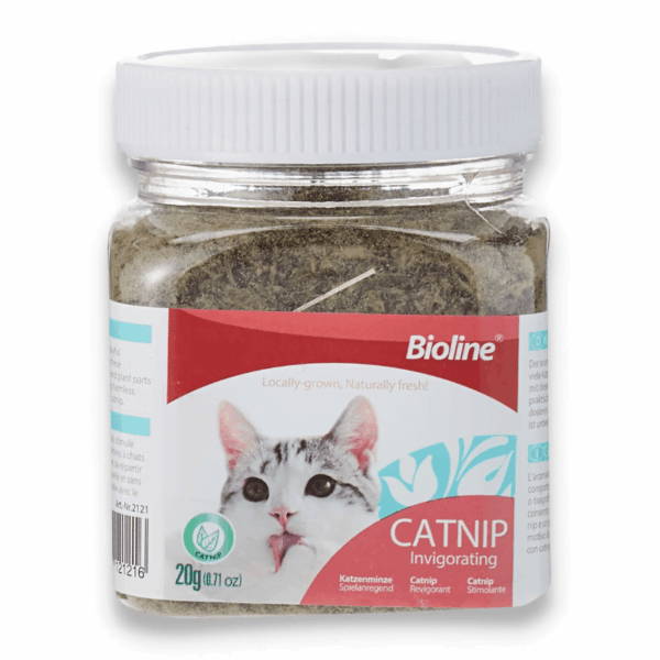 Hierba gatera Catnip para gatos.