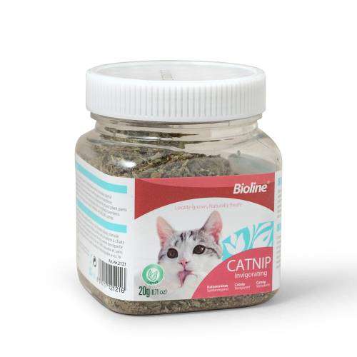 Hierba gatera Catnip para gatos.