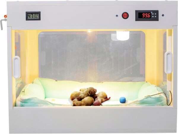 Incubadora neonatal inteligente para cachorros y gatitos, con caja calefactora y control de temperatura.