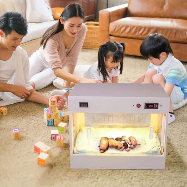 Incubadora neonatal inteligente para cachorros y gatitos, con caja calefactora y control de temperatura.