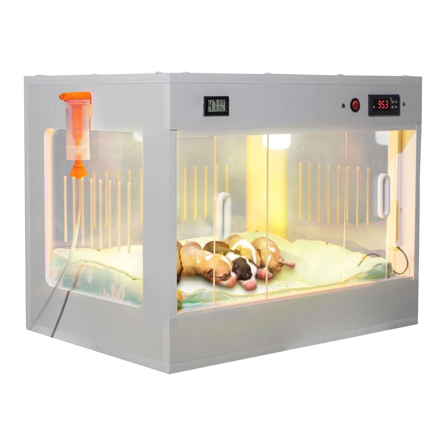 Incubadora neonatal inteligente para cachorros y gatitos, con caja calefactora y control de temperatura.