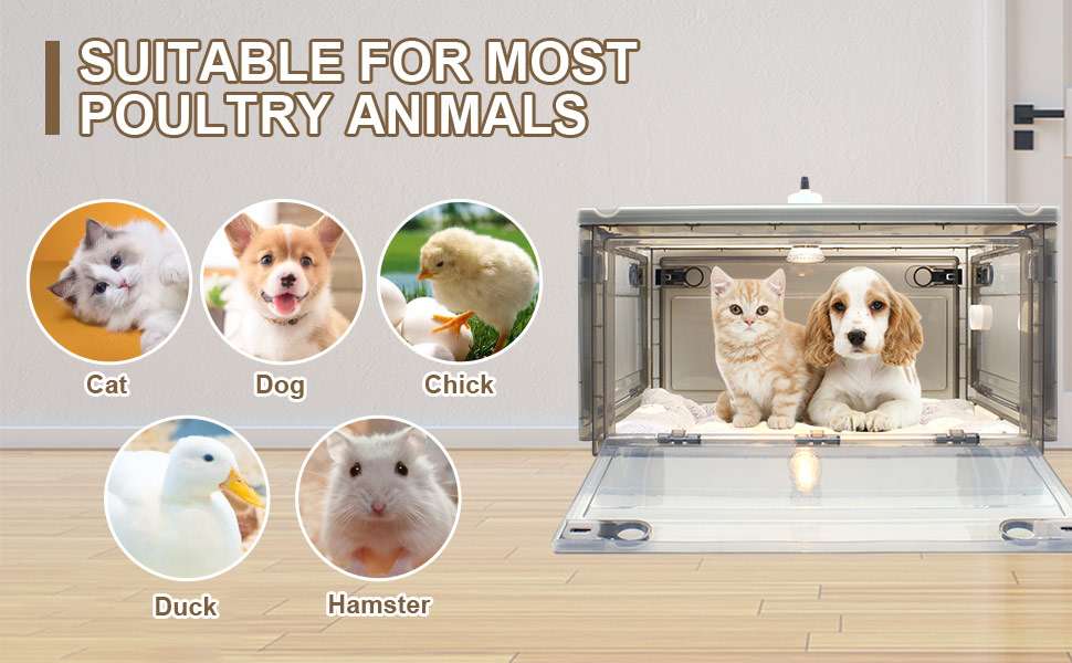 Incubadora neonatal con calefacción para cachorros y gatitos, incluye kit de crianza.