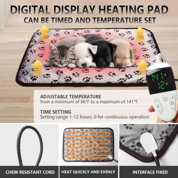 Incubadora para cachorros y gatitos con calefacción y ventilador.