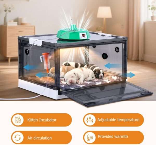 Incubadora neonatal con oxigenador y calefacción para cachorros y gatitos.