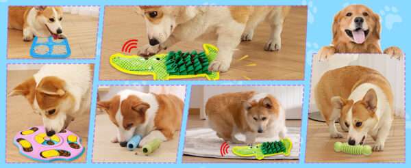 Set de 9 juguetes de rompecabezas para perros. Ideal para razas pequeñas a medianas.