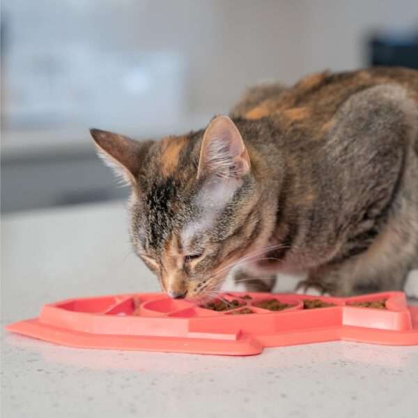 Rompecabezas interactivo para gatos. Juguete dispensador de comida que promueve la alimentación lenta.