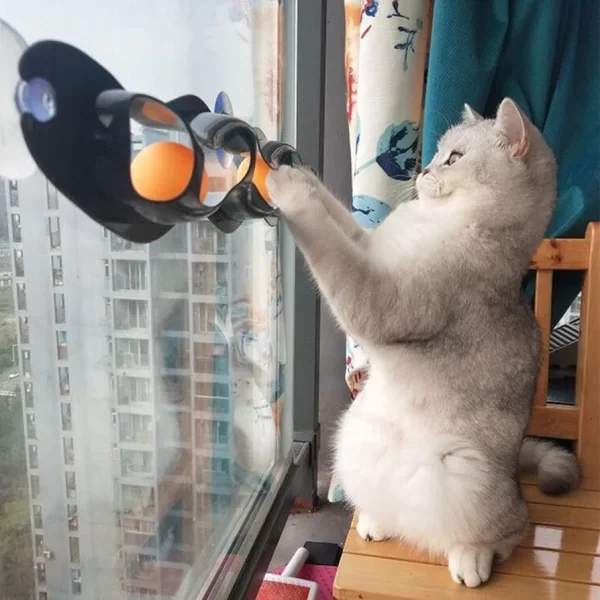 Juguete interactivo de riel con pelotas para gato.
