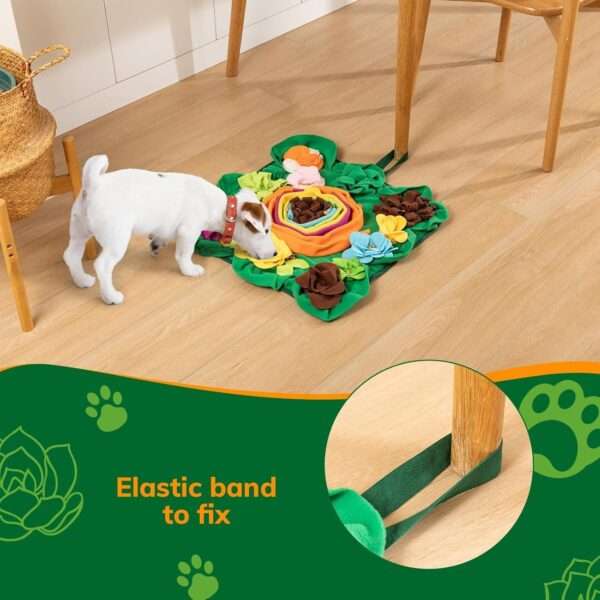 Alfombrilla de olfateo para perros. Es un juguete interactivo que ayuda a estimular la mente de la mascota.