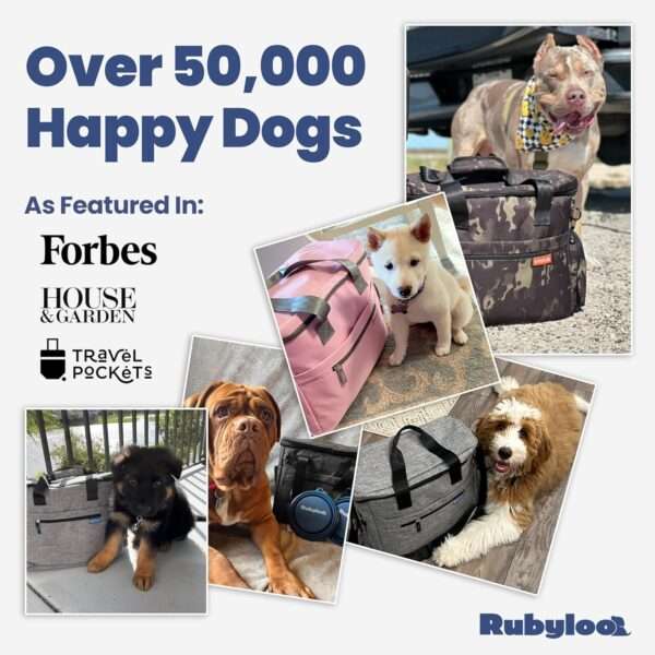 Bolsa de viaje para perros y gatos. Kit organizador con cuencos de viaje, contenedor de comida y accesorios.