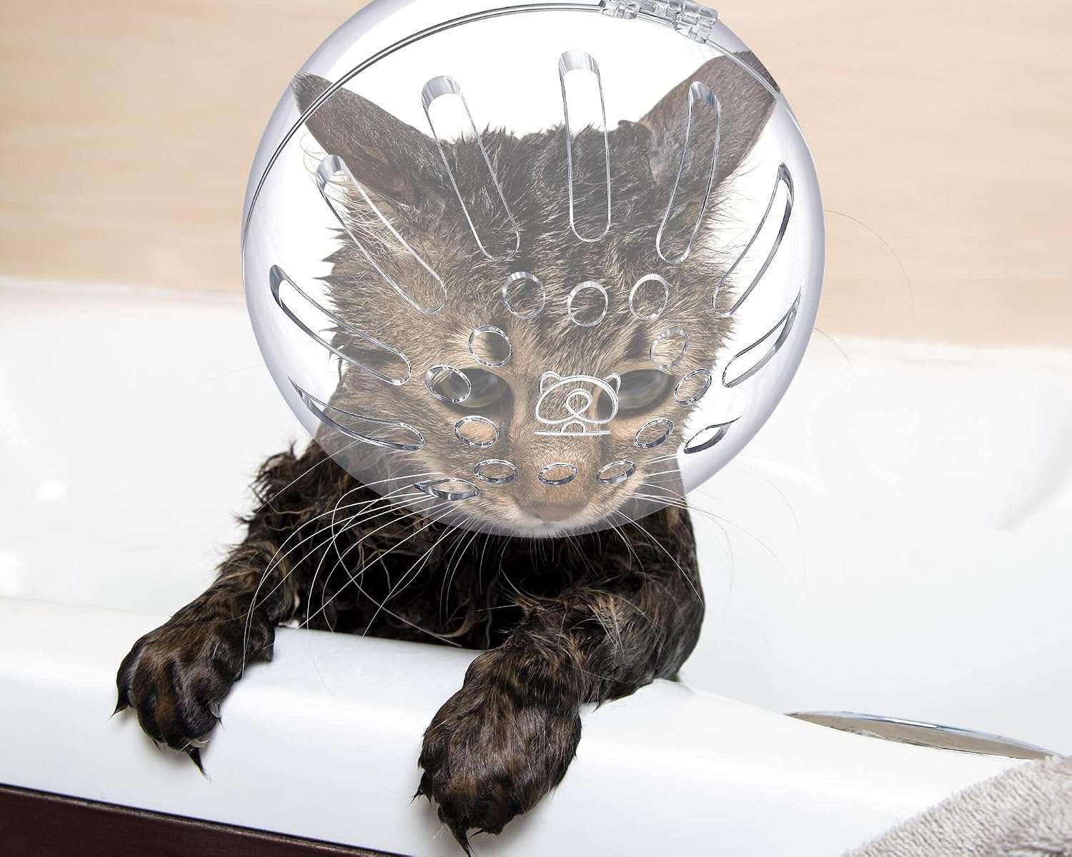 Bozal de gato y protectores de patas de silicona para aseo.