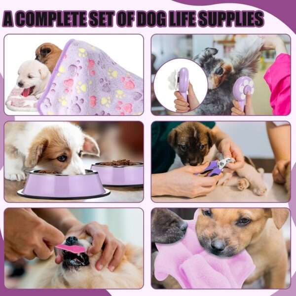 Kit de iniciación de 50 piezas para cachorros. Incluye accesorios esenciales para perros pequeños, listo para usar.