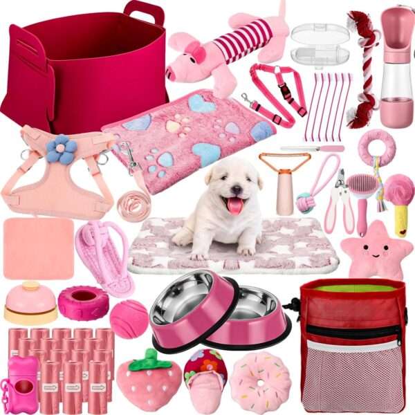 Kit de iniciación de 50 piezas para cachorros. Incluye accesorios esenciales para perros pequeños, listo para usar.