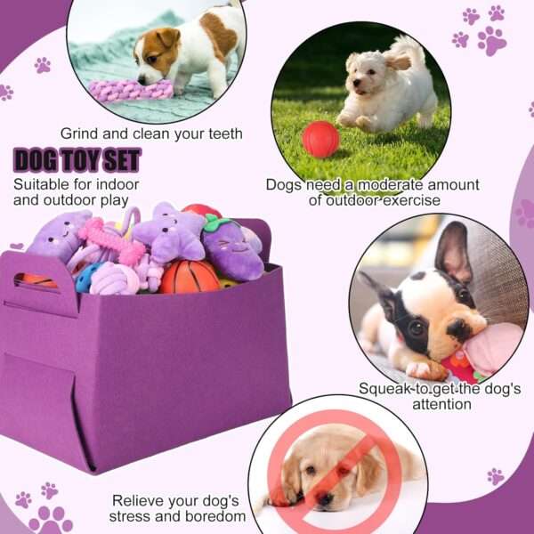 Kit de iniciación de 50 piezas para cachorros. Incluye accesorios esenciales para perros pequeños, listo para usar.