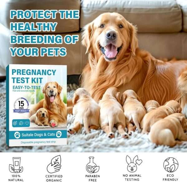 Kit de prueba de embarazo para perros con tiras de detección rápidas y precisas.